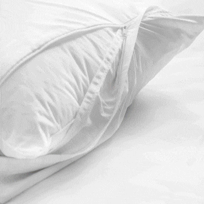 床具上有很多肉眼看不到的塵螨，一隻塵螨正在床上走動的示意影片